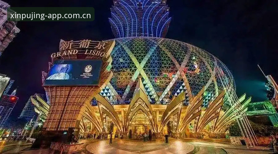 新浦京官网福利 新浦京娱乐平台视角:足球管理决策的完整指南——从贝纳蒂亚的拉比奥签约事件看职业体育的领导力法则